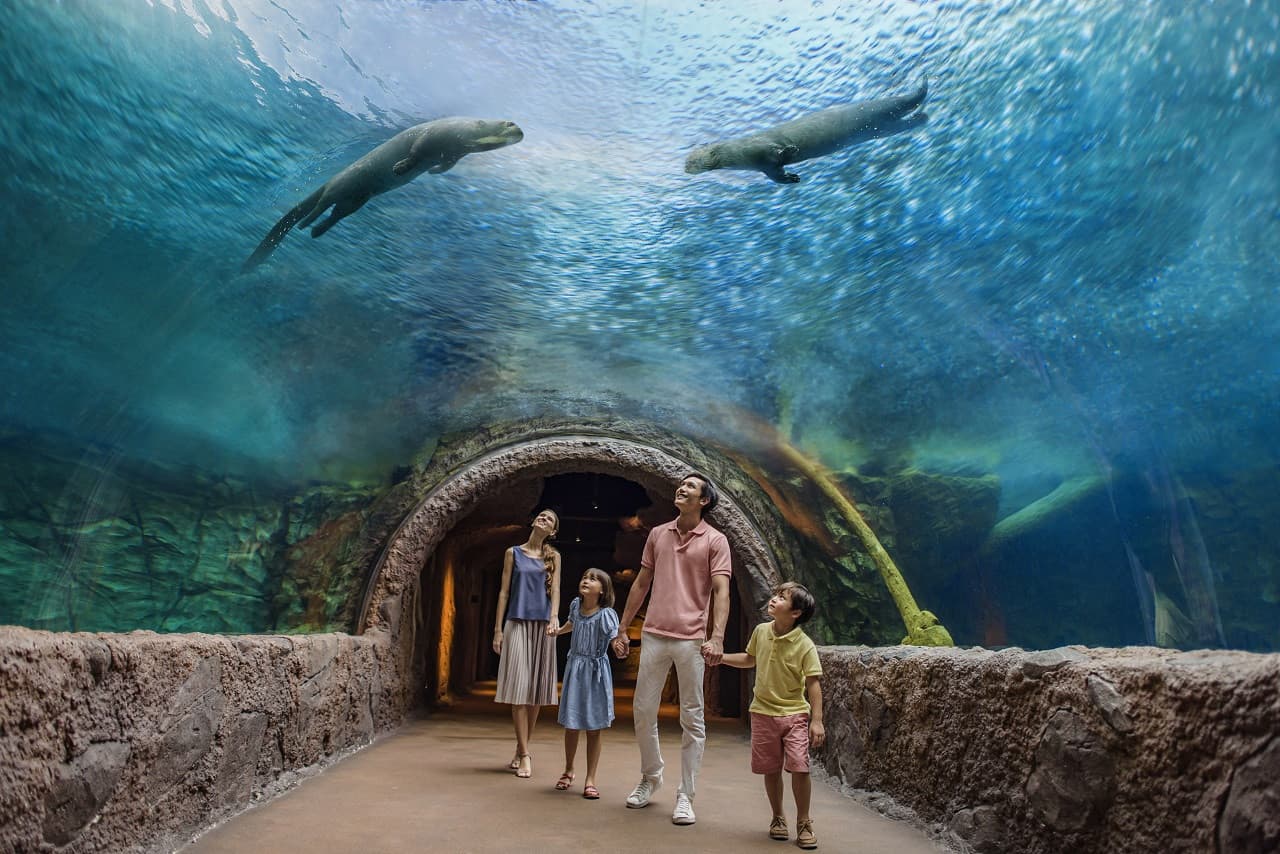 COMBO: Singapore Zoo + River Wonders Ticket - image 12