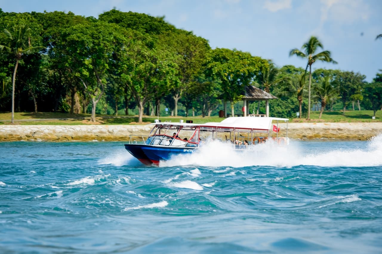 COMBO: Singapore Oceanarium + Albatross Hop-On Hop-Off Speedboat Tickets - image 7
