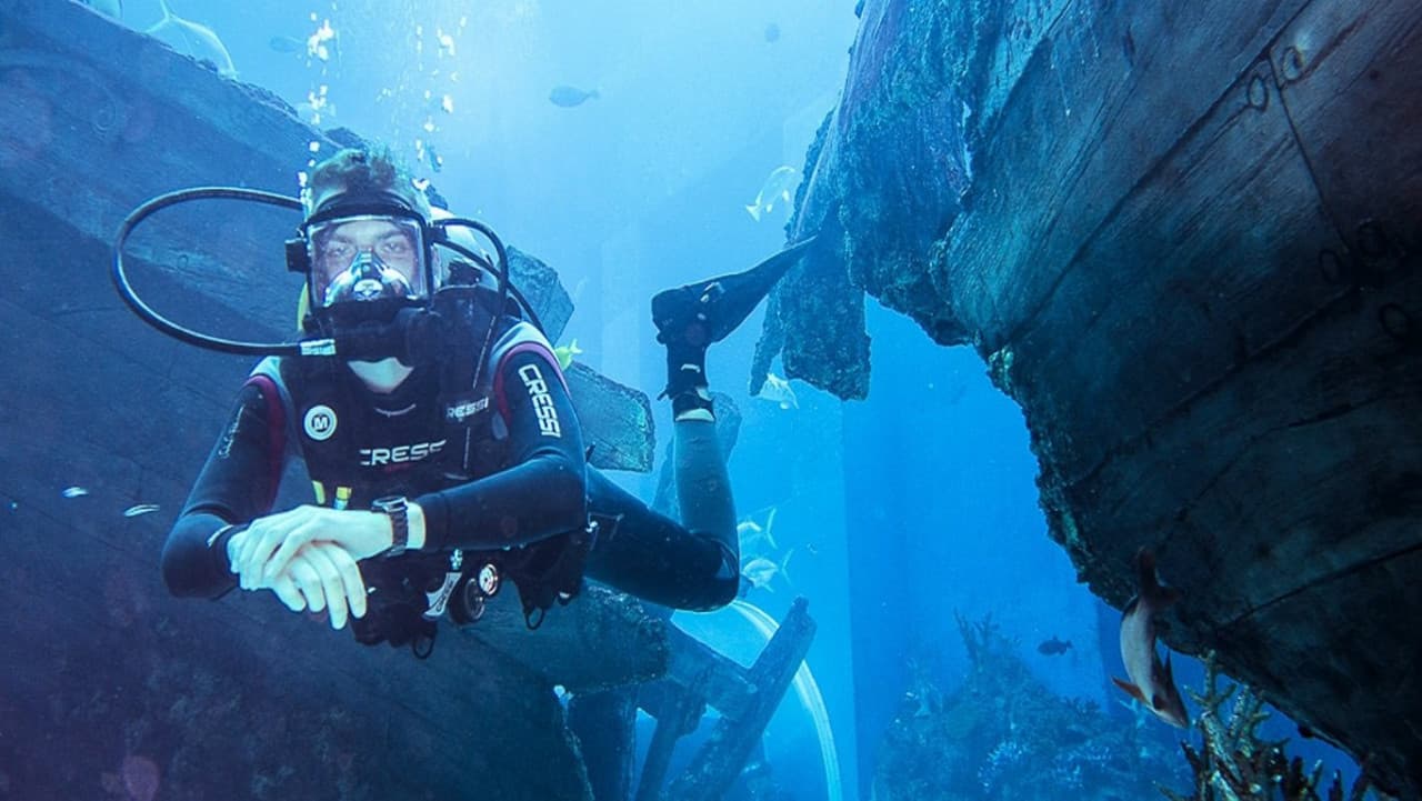 어드벤처 코브 워터파크 - 얼티메이트 마린 라이프 익스피리언스 (Ultimate Marine Life Experience) - 이미지 7