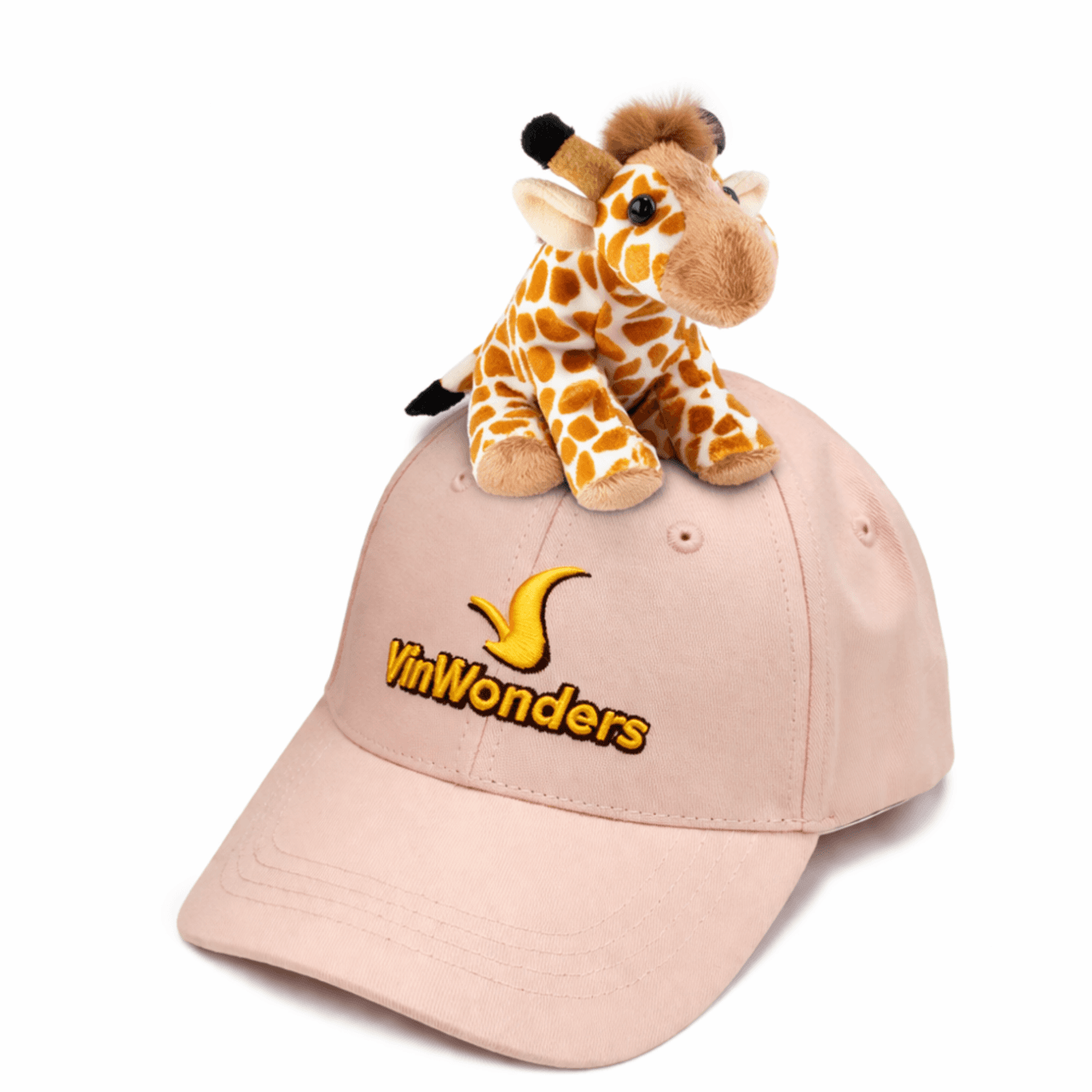 Entrada al parque de atracciones VinWonders Nha Trang - imagen 19