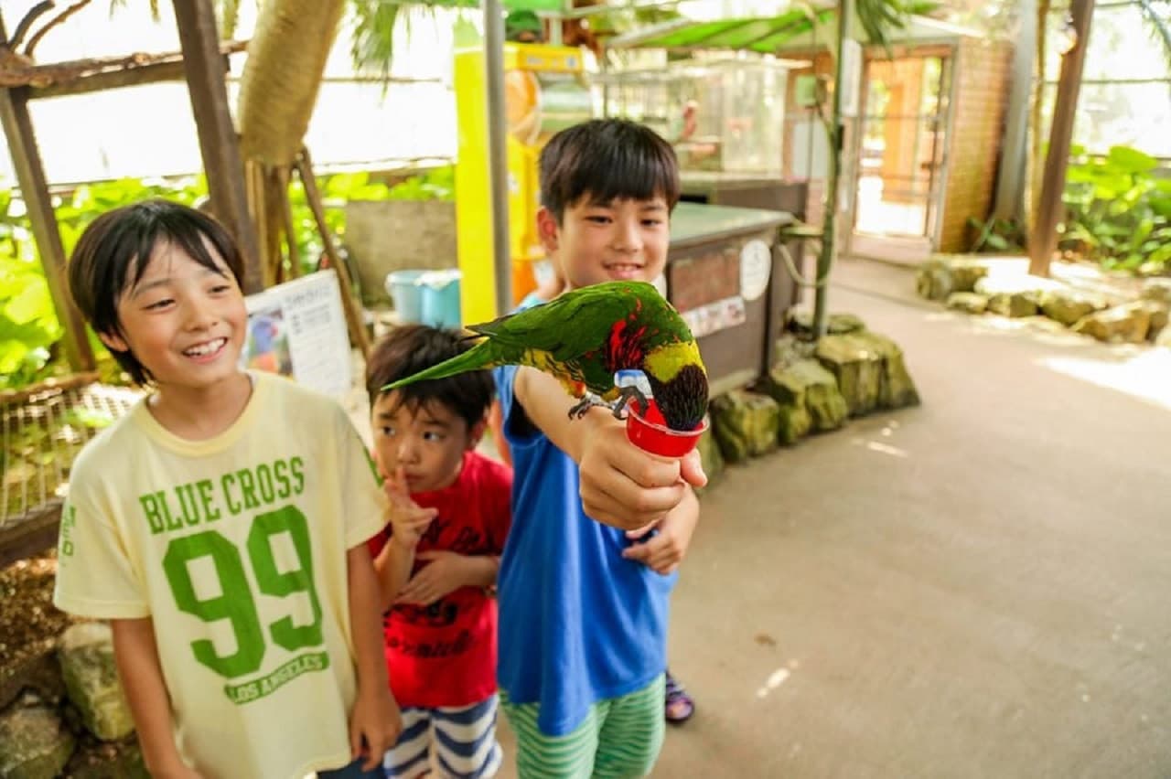 Okinawa Tropical Fruits Land - imagen 6