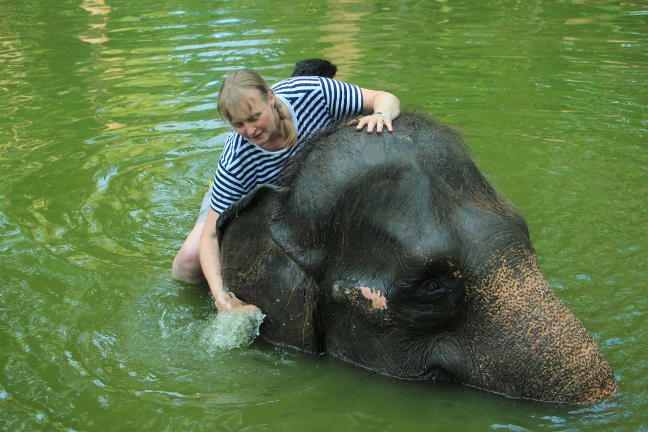 Lombok Wildlife Park Elephant Bath Experience - main image
