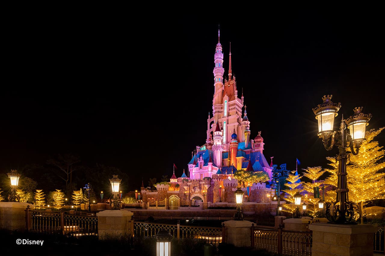 Hong Kong Disneyland Disney Premier Access Ticket - image 40