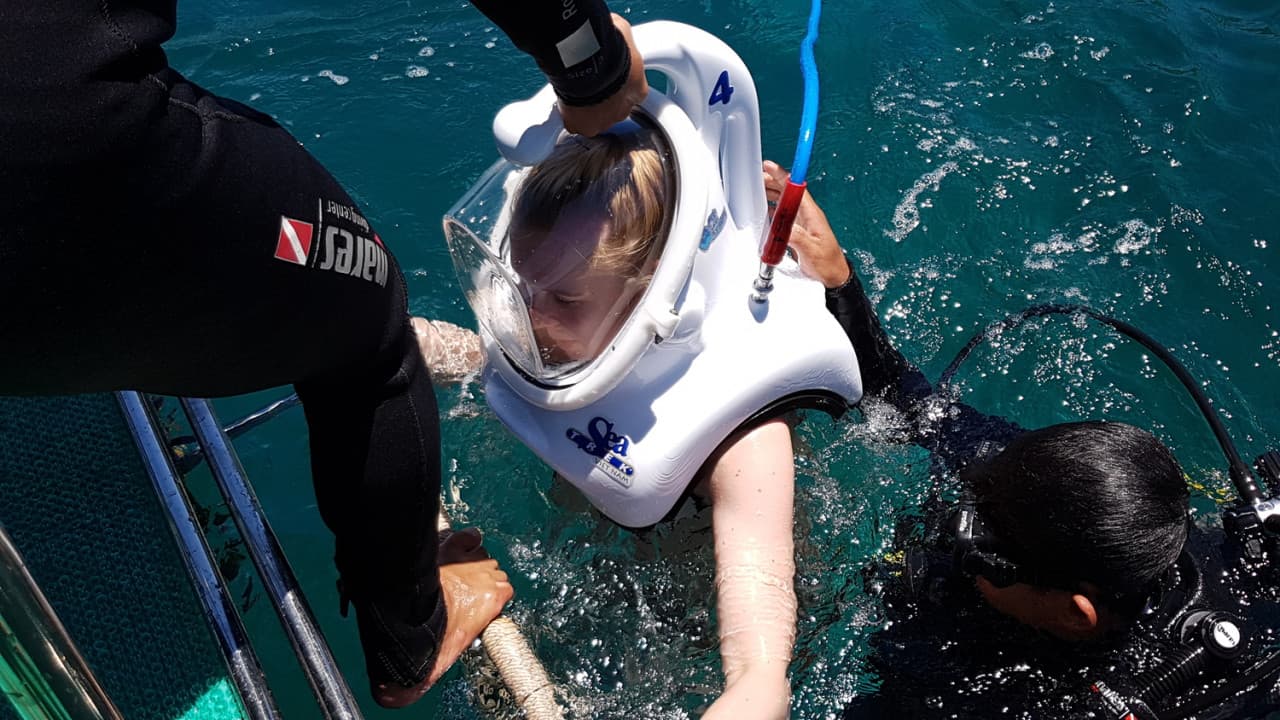Cham Islands Underwater Walking and Snorkelling Half-Day Tour from Da Nang - image 7