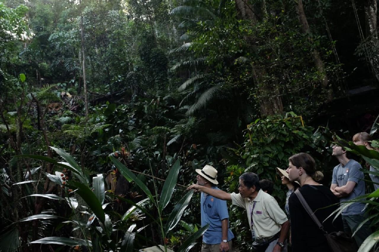 Tropical Spice Garden Penang - image 2