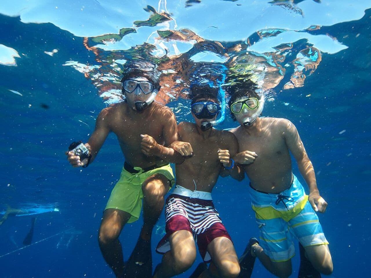 Nha Trang Island Hopping Tour - image 2