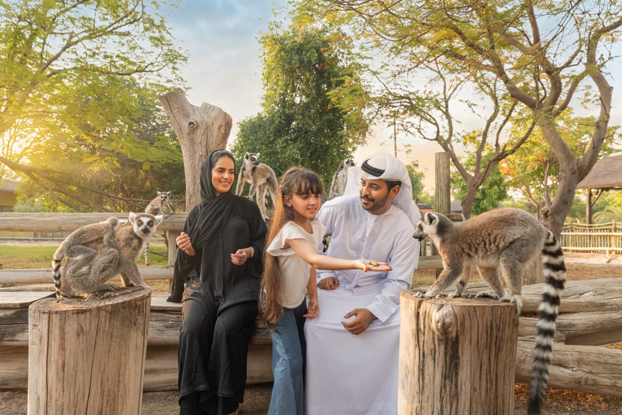 Dubai Safari Park Ticket - image 9
