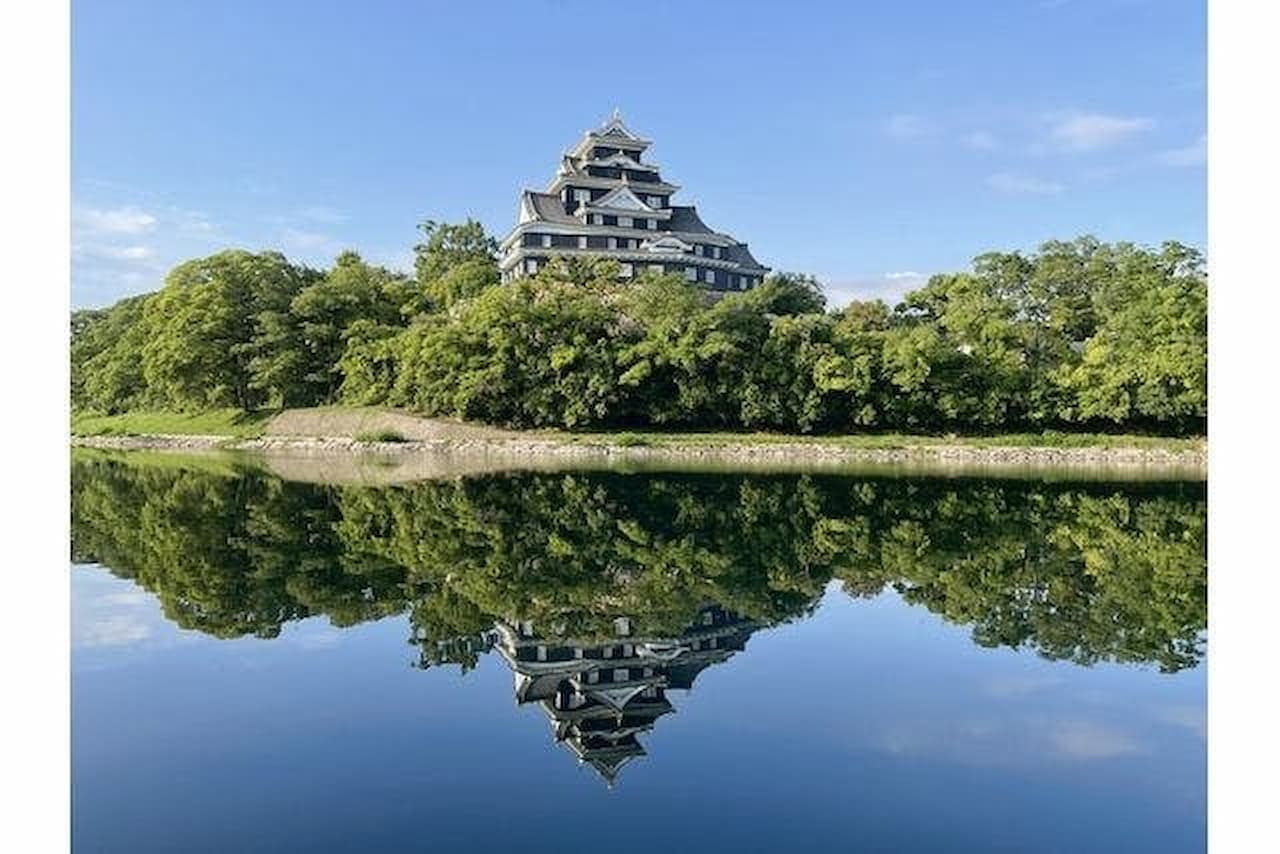 Okayama Castle Ticket - image 2