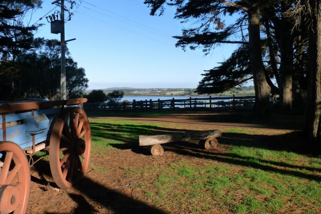 Phillip Island with Penguin Parade Eco Tour - imagen 13