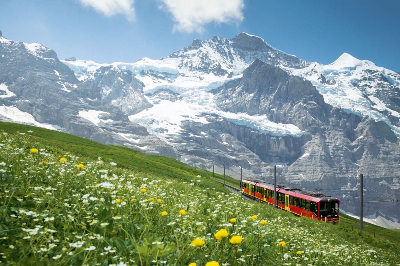 Jungfraujoch: Roundtrip Train from Grindelwald - image 6