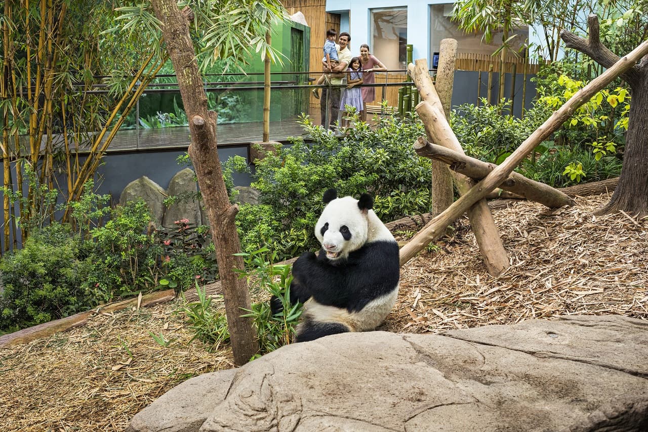 COMBO: Singapore Zoo + River Wonders Ticket - image 17