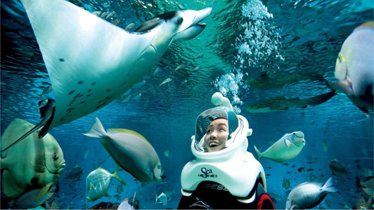 어드벤처 코브 워터파크 - 얼티메이트 마린 라이프 익스피리언스 (Ultimate Marine Life Experience) - 이미지 2