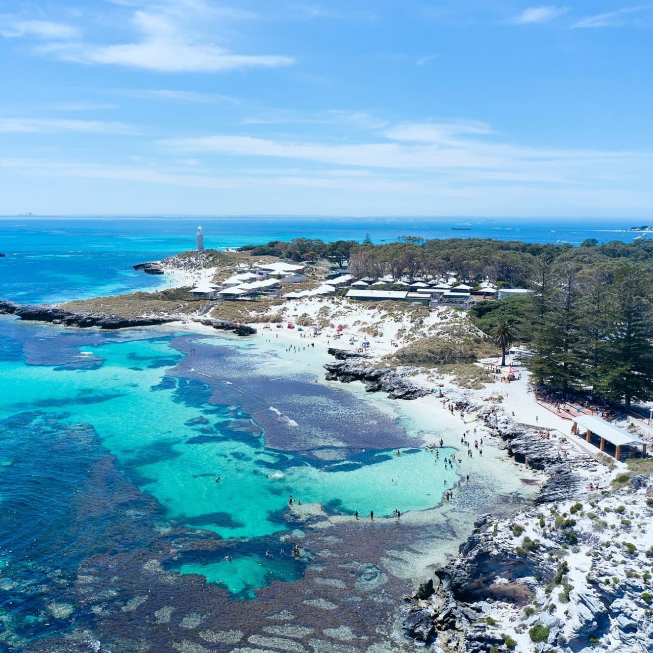 Rottnest Island Bayseeker Bus Tour with Round Trip SeaLink Ferry Transfer - image 4