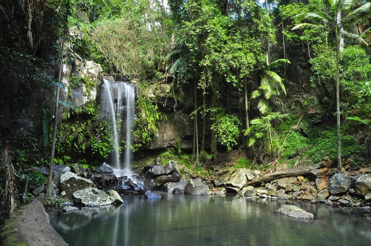 Tamborine Mountain Guided Walk and Wine Tasting Tour - image 11