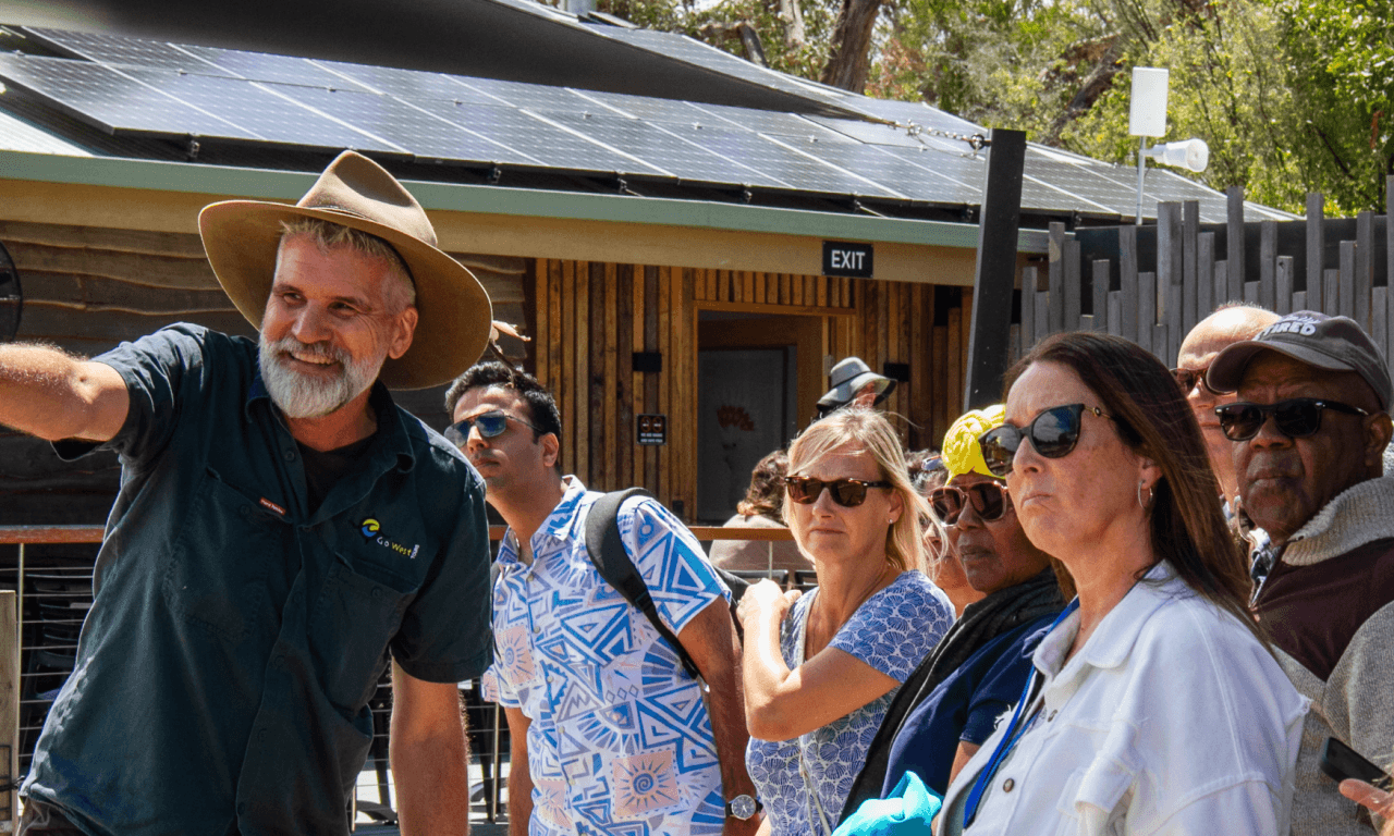 Phillip Island with Penguin Parade Eco Tour - imagen 23