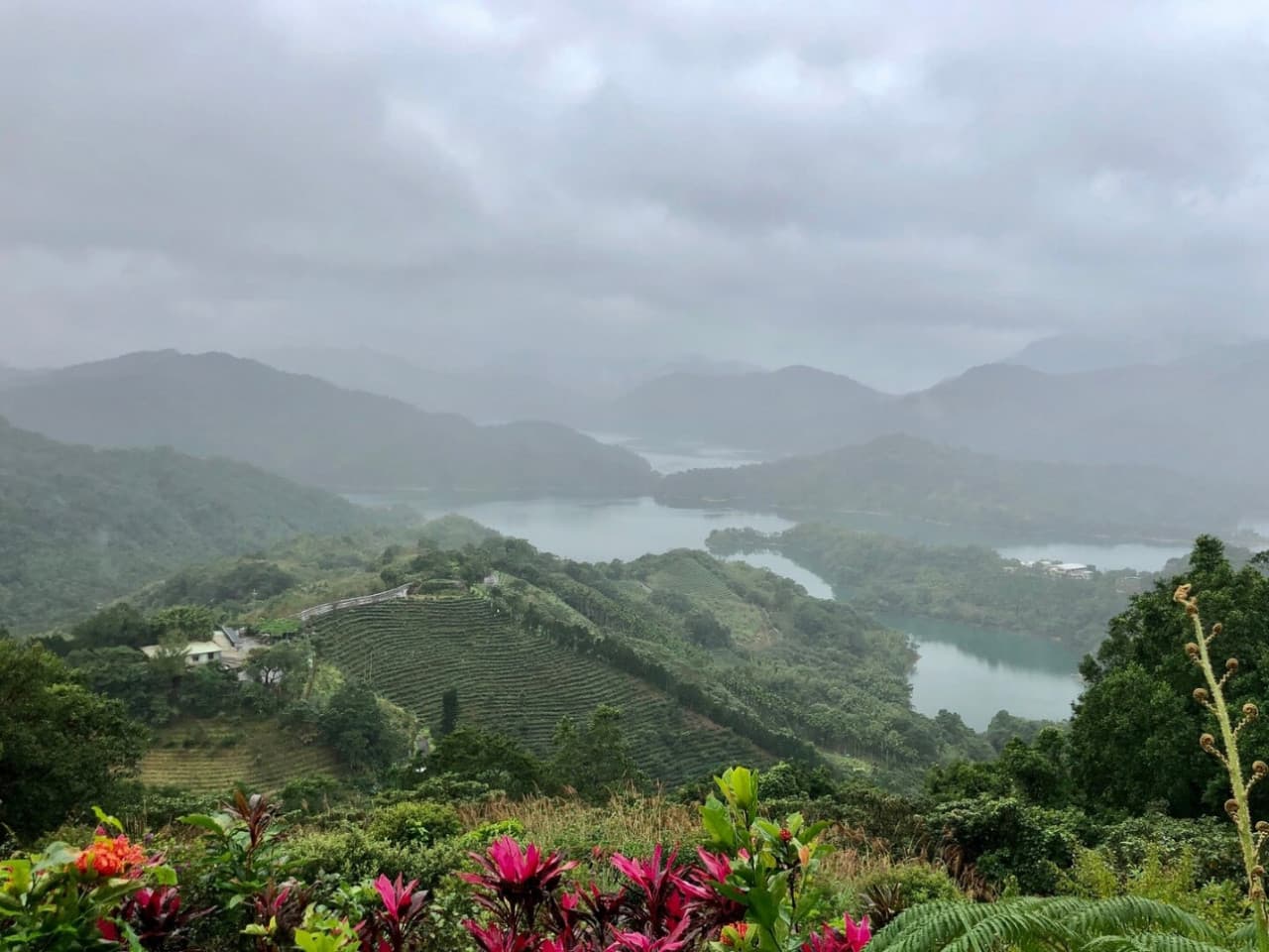 Pinglin Tea Culture and Maokong Full-Day Tour from Taipei - imagen 5
