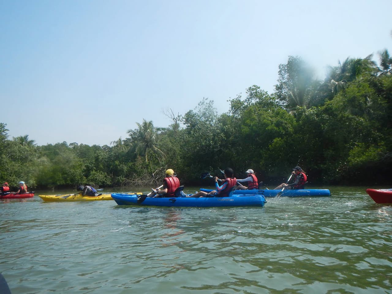 Pulau Ubin Kayaking - image 27