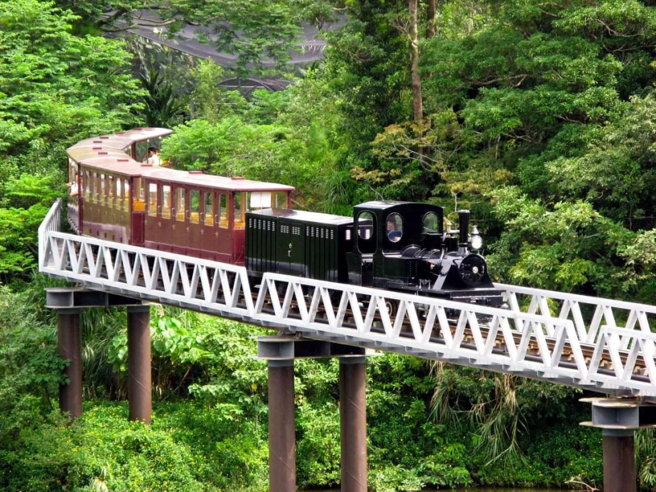 Neo Park Okinawa - imagen 12