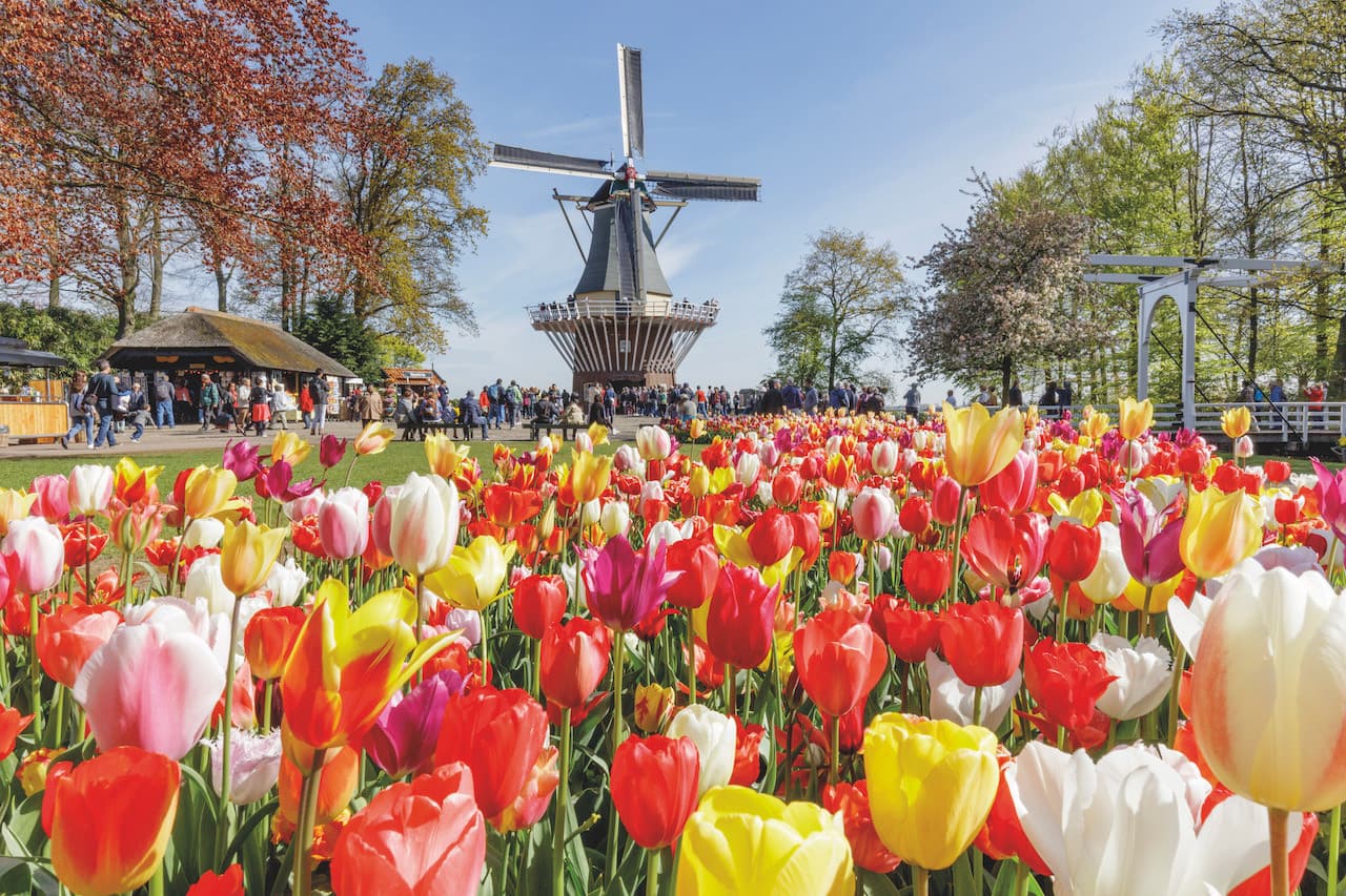 Go City Amsterdam Explorer Pass: Ahorre hasta un 50% en atracciones - imagen 29