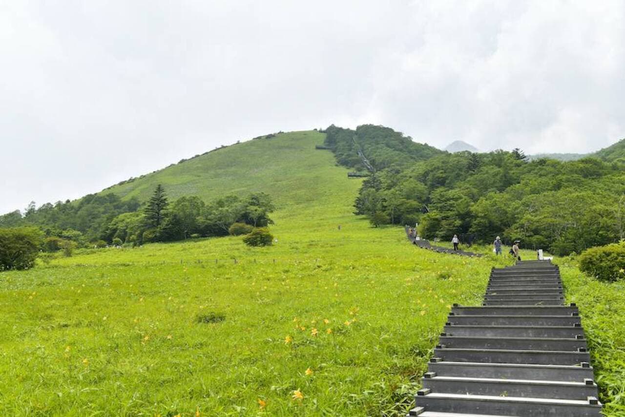 Nikko Pass All Area - imagen 7