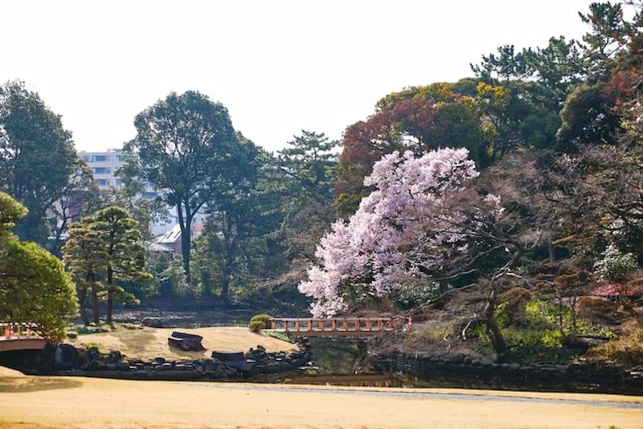 Shinjuku Gyoen National Garden Ticket - image 4