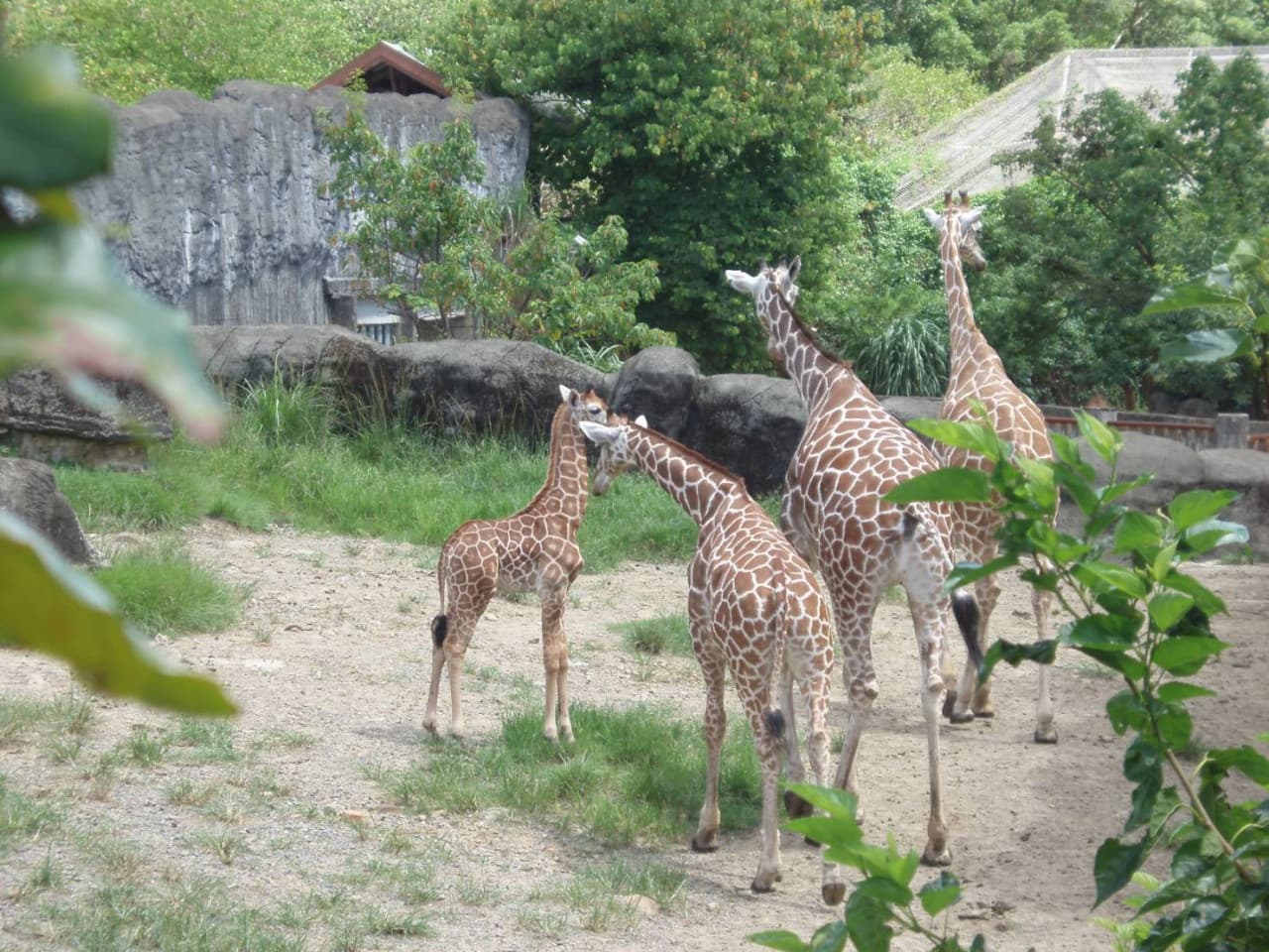 Taipei Zoo - main image