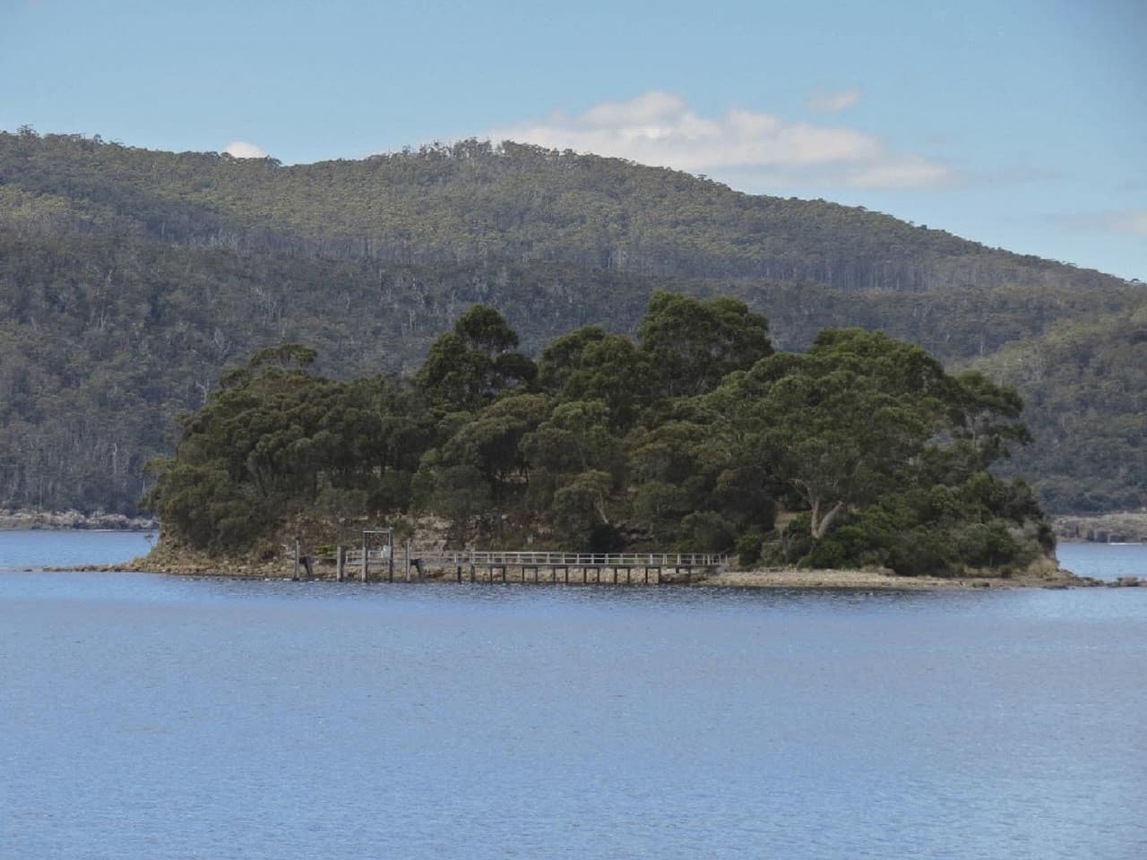 Full Day Port Arthur Tour - imagen 6