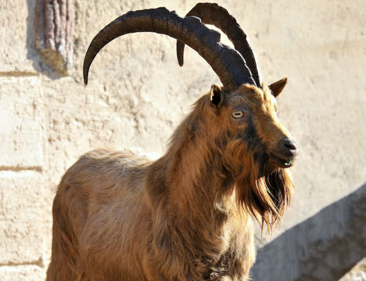 Bioparco: The Zoo of Rome - imagen 10
