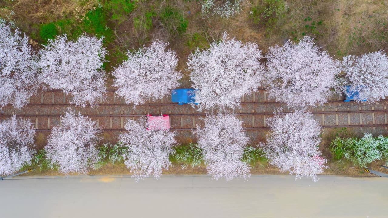 Tour de día completo a la isla de Nami, el monte Seorak y el Rail Bike de Gapyeong desde Seúl - imagen 16