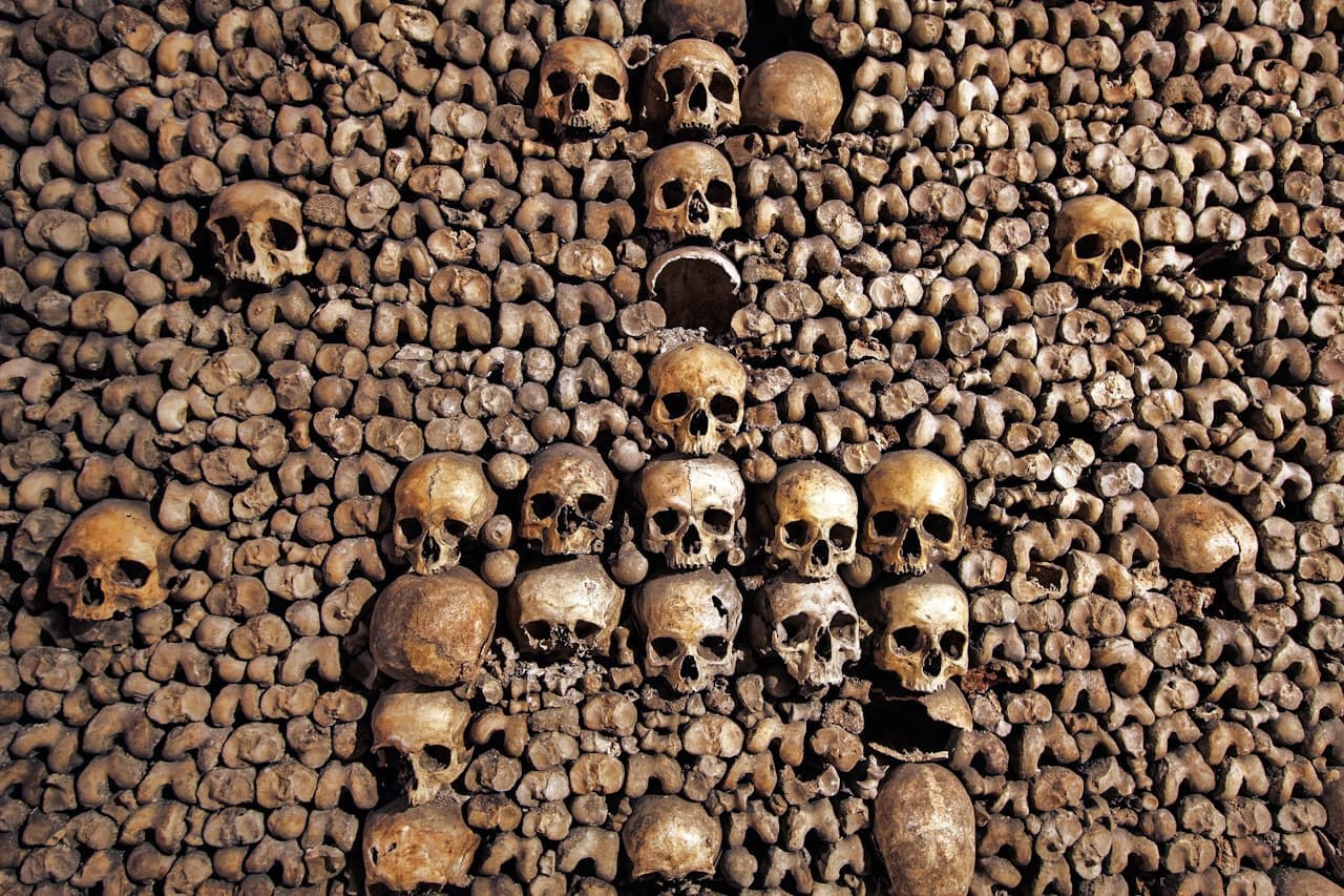 The Paris Catacombs - Skip-the-line with Audio Guide - image 3