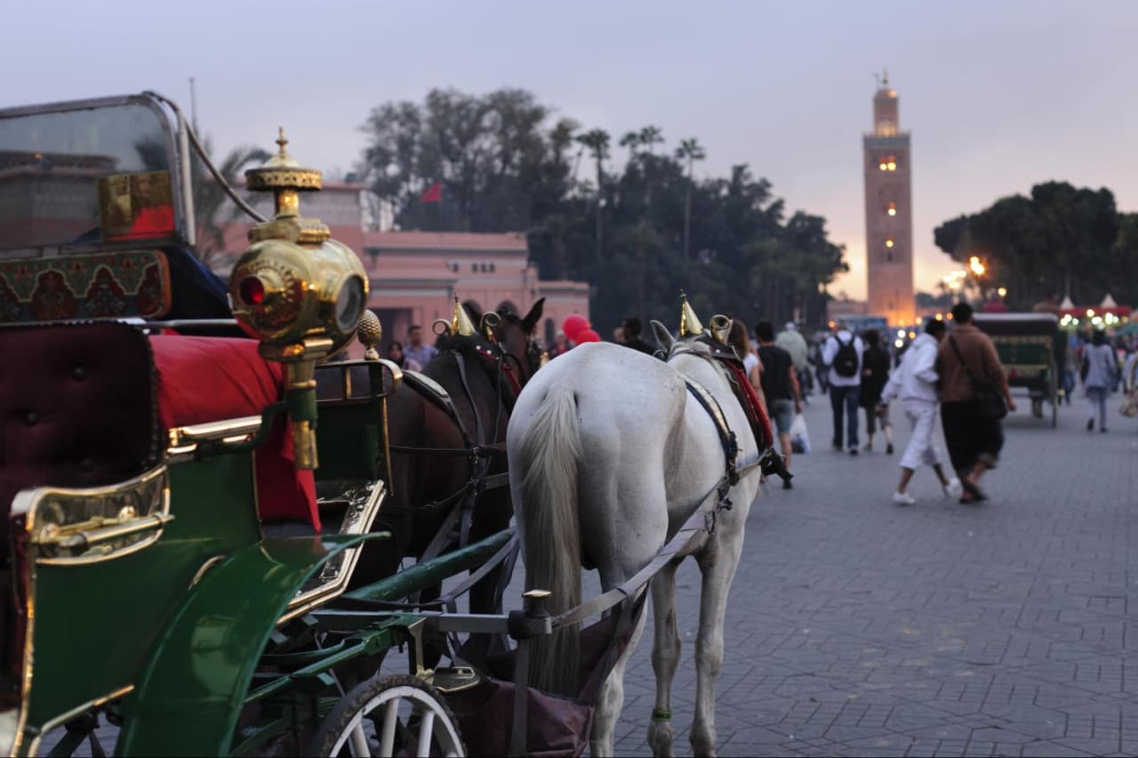 Marrakech Tour: Koutoubia Mosque, El Bahia Palace, Menara Gardens, Djemaa El Fna Square - image 5