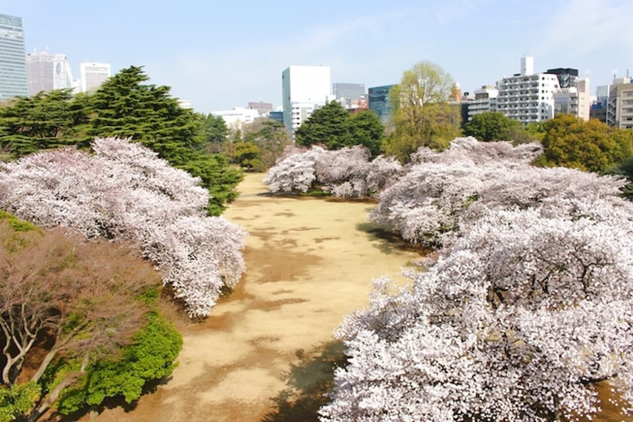 Entrada al Jardín Nacional Shinjuku Gyoen - imagen principal