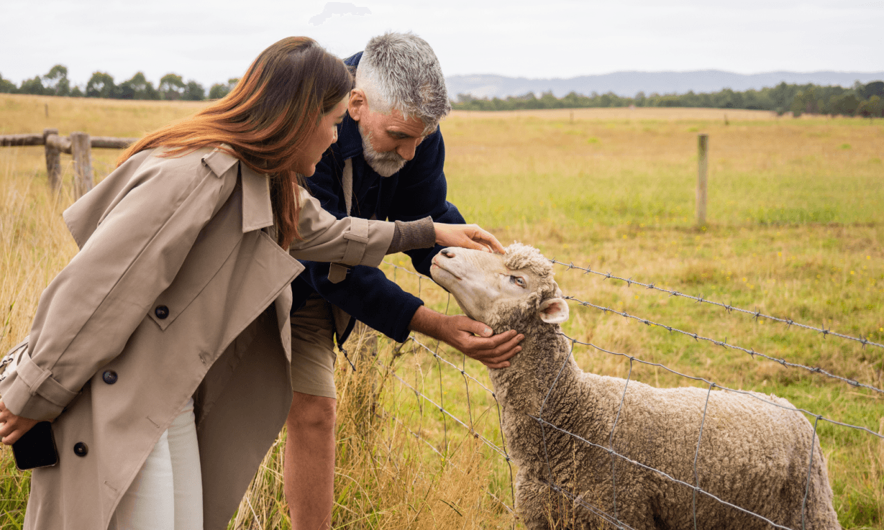 Yarra Valley Full-Day Grazing Tour from Melbourne - image 7