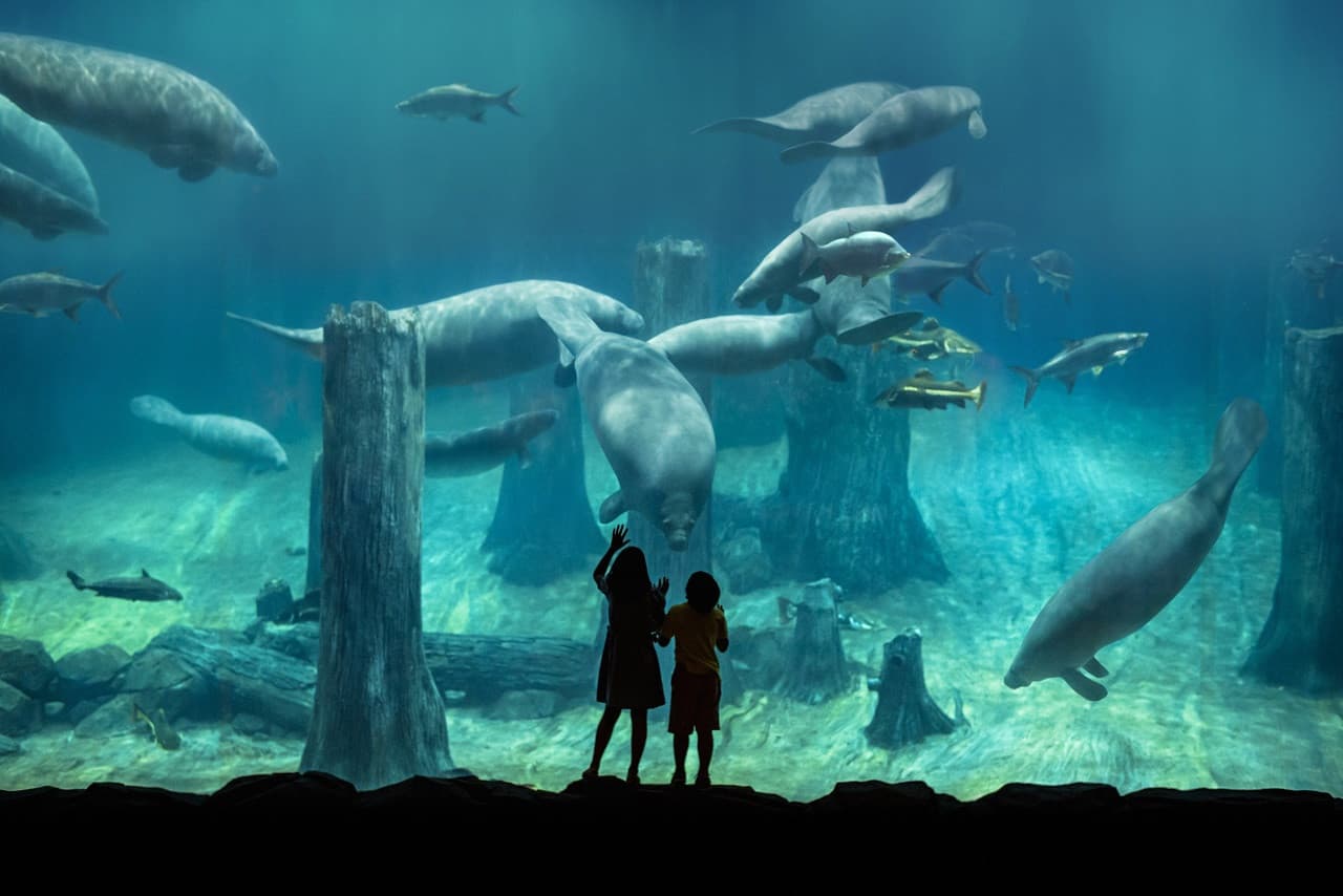 River Wonders Singapore Ticket - main image