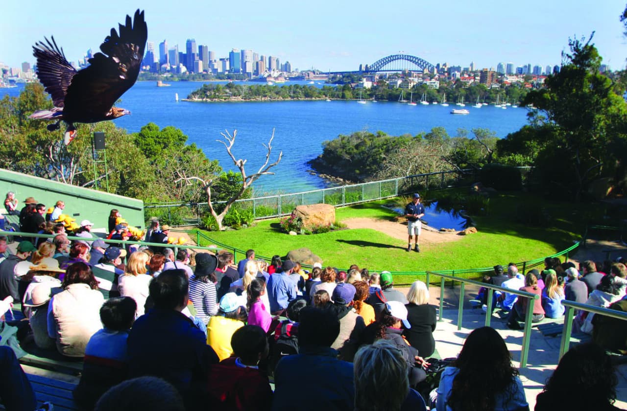 Crucero Captain Cook Sydney Harbour Explorer Hop-on Hop-off - imagen 7