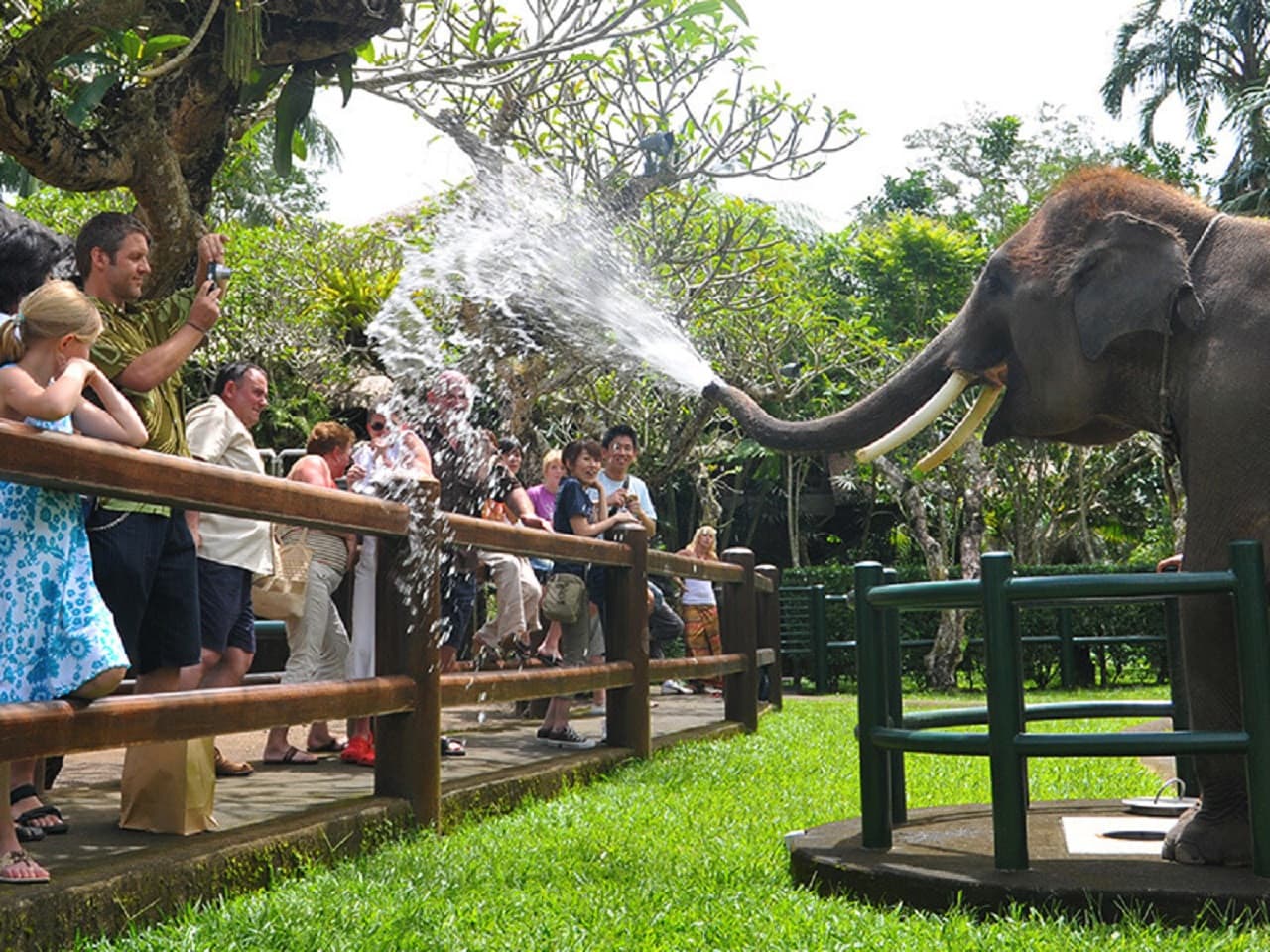 Mason Elephant Park Bali by Mason Adventures (Formerly known as Elephant Safari Park) - image 6