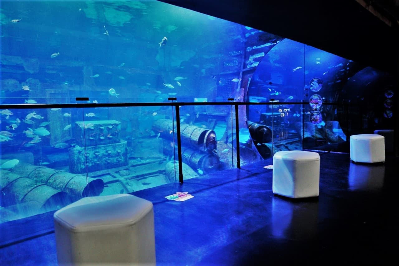 Aquaria Phuket - image 6