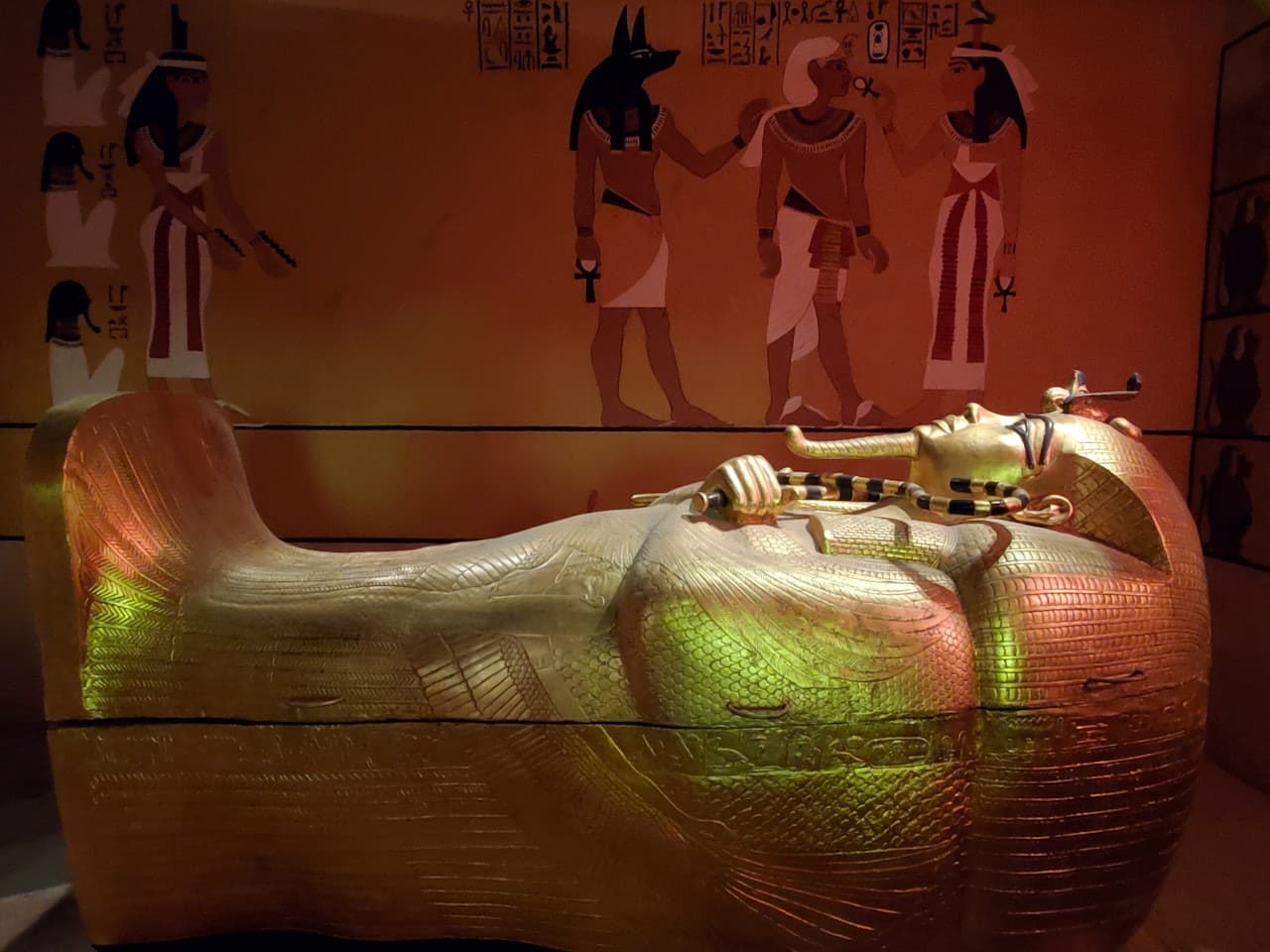 Museo de Historia Natural de Las Vegas - imagen 2