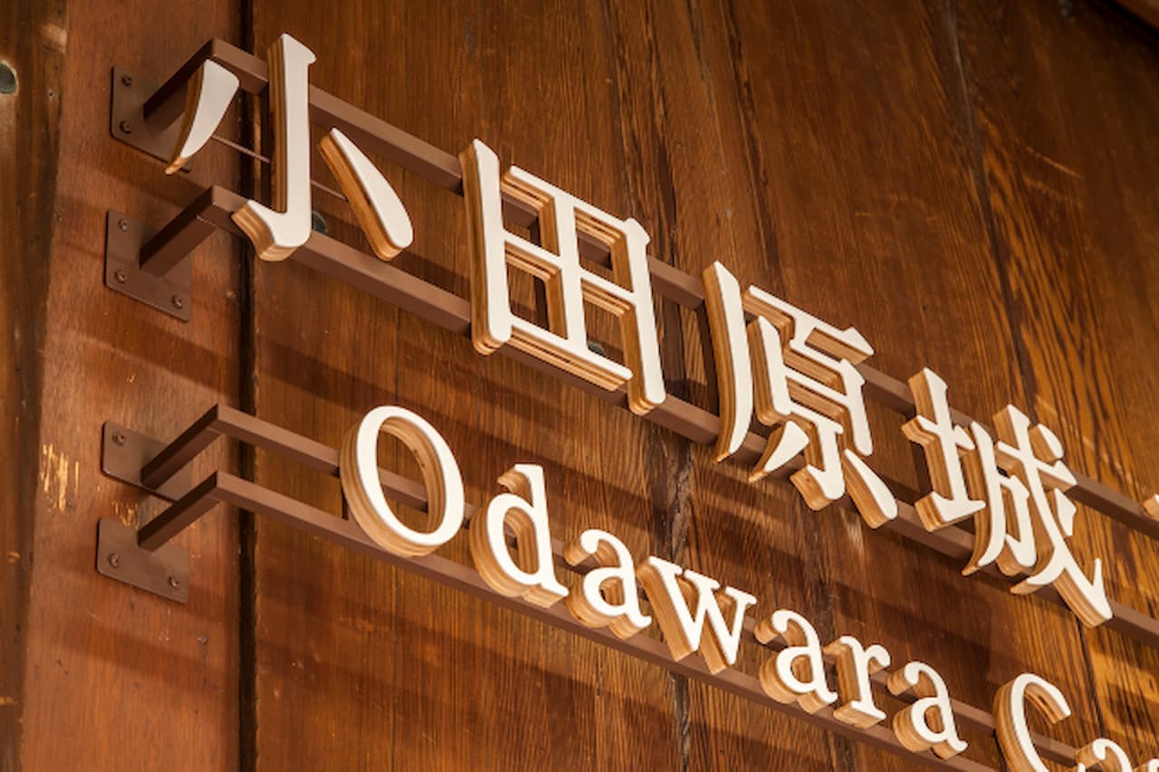 Odawara Castle Ticket - image 4