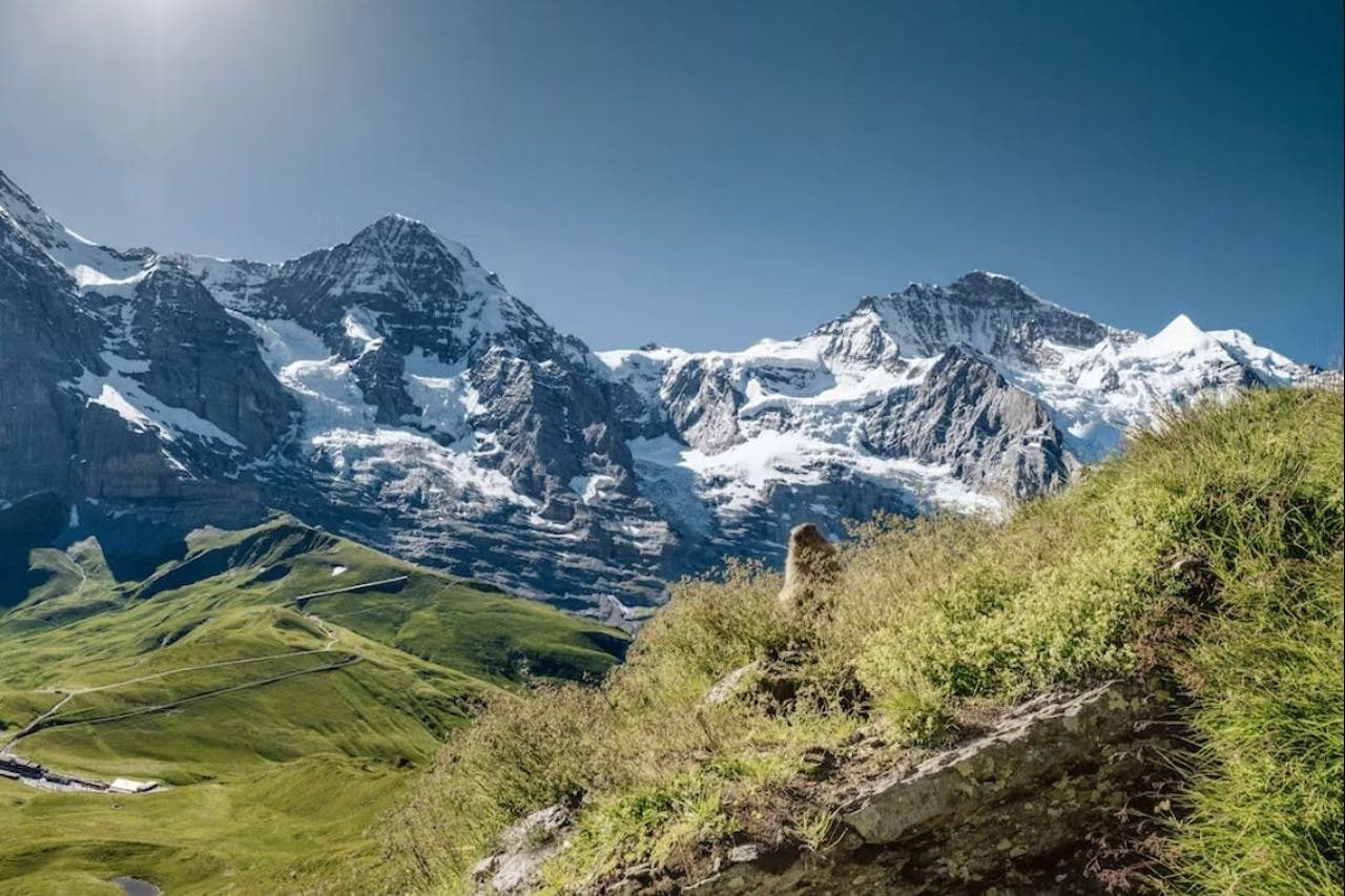 Jungfraujoch: Roundtrip Train from Grindelwald - image 5