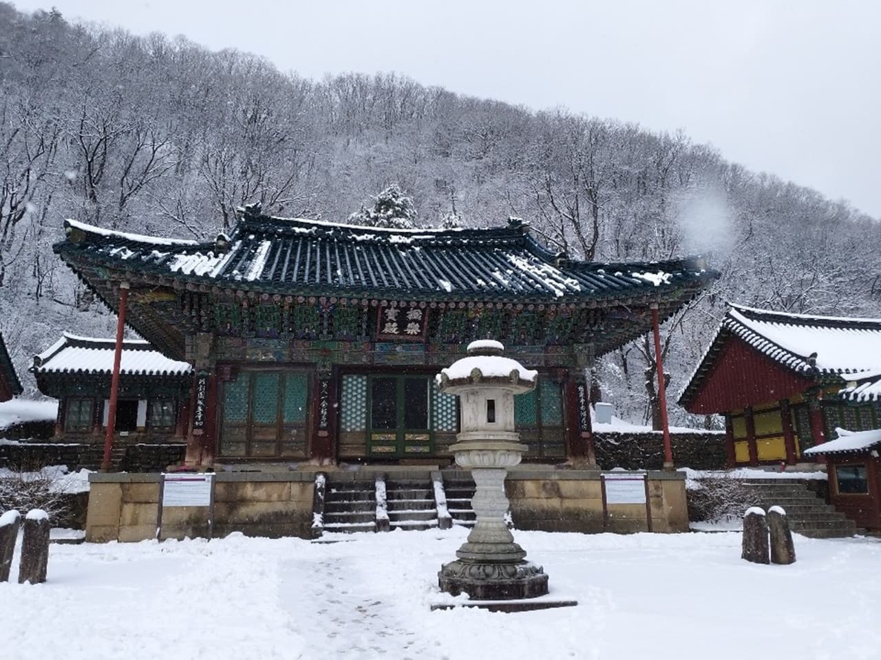 Tour de día completo a la isla de Nami, el monte Seorak y el Rail Bike de Gapyeong desde Seúl - imagen 13
