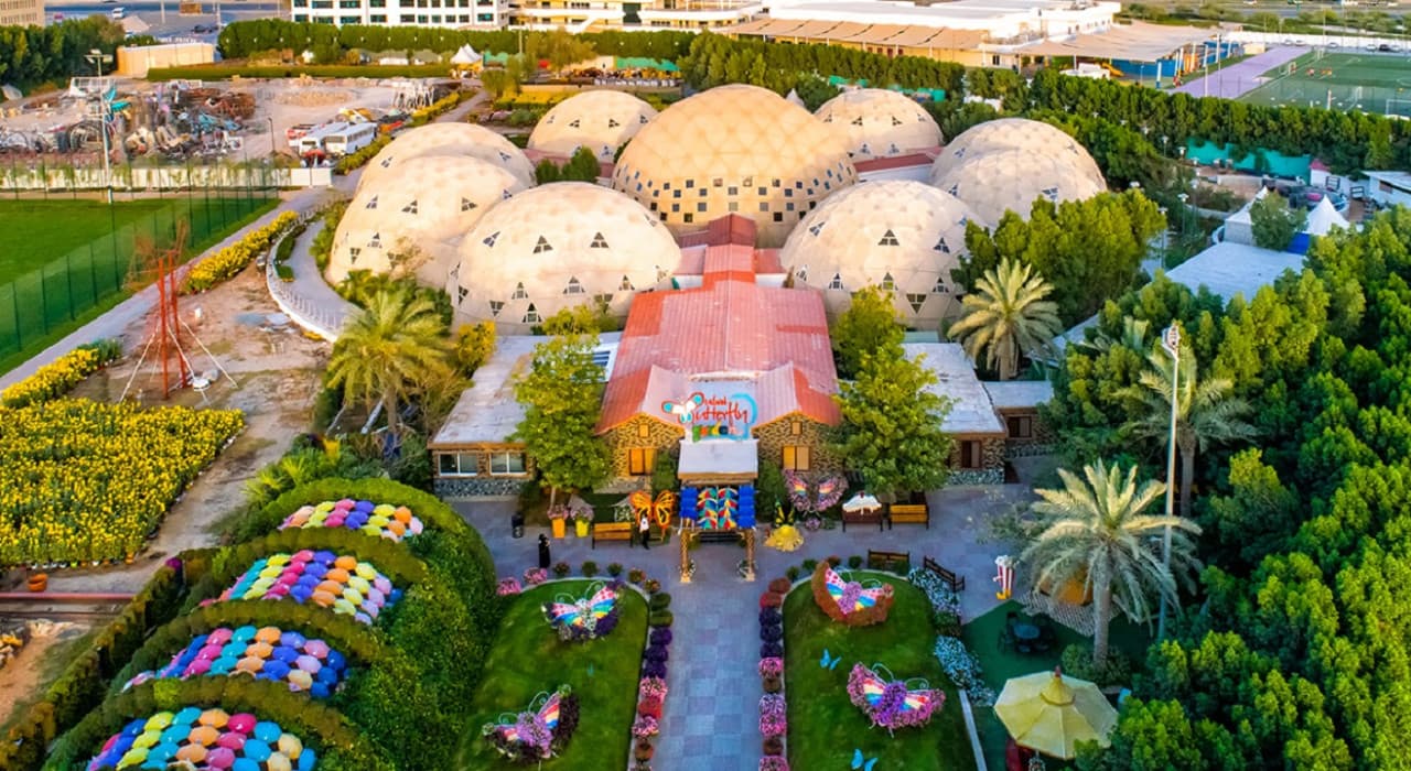 Dubai Butterfly Garden - imagen 4