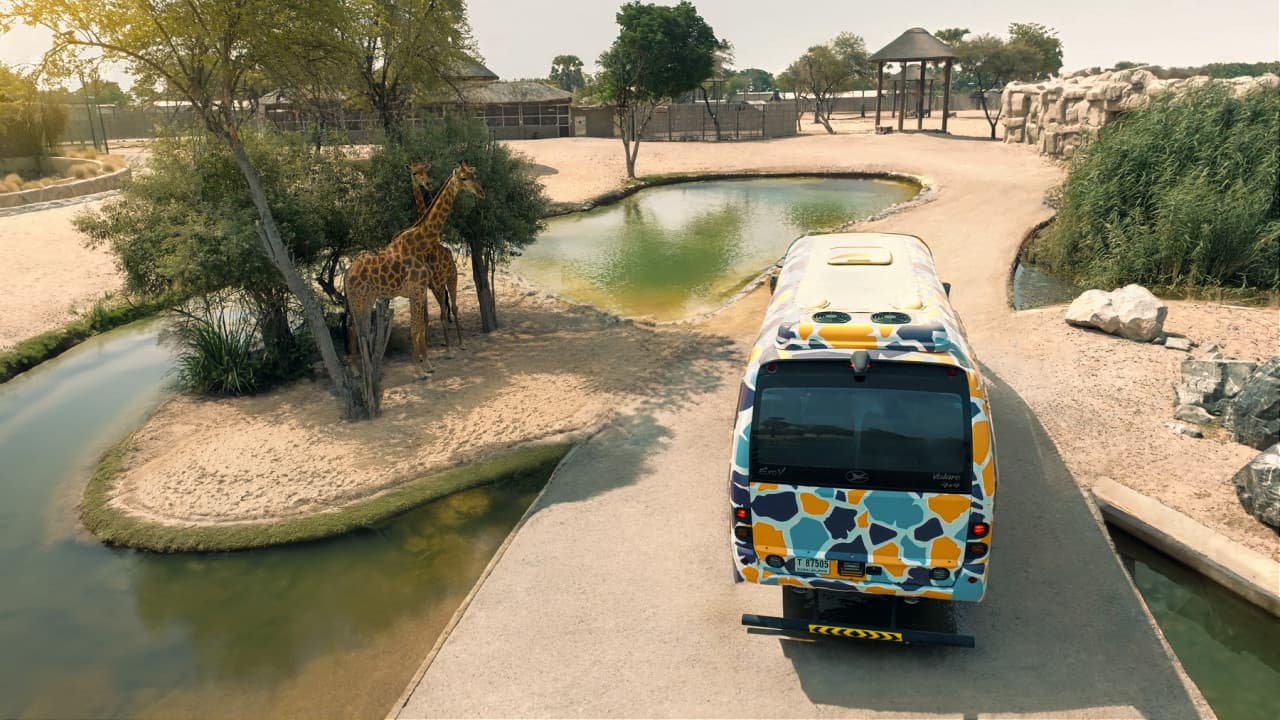Dubai Safari Park Ticket - image 28