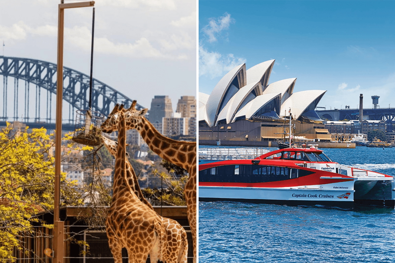 Taronga Zoo Ticket with Optional Round Trip Ferry - main image
