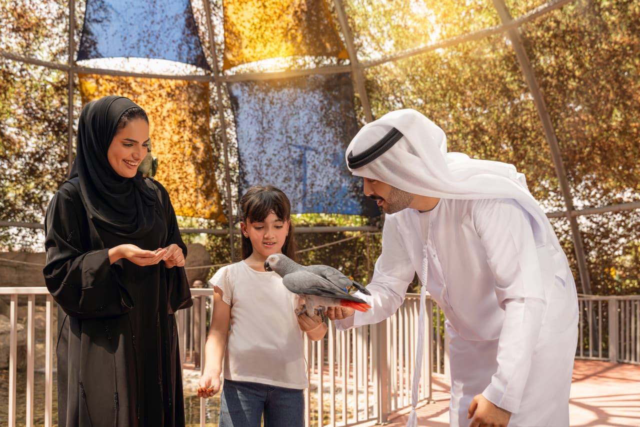 Dubai Safari Park Ticket - image 10