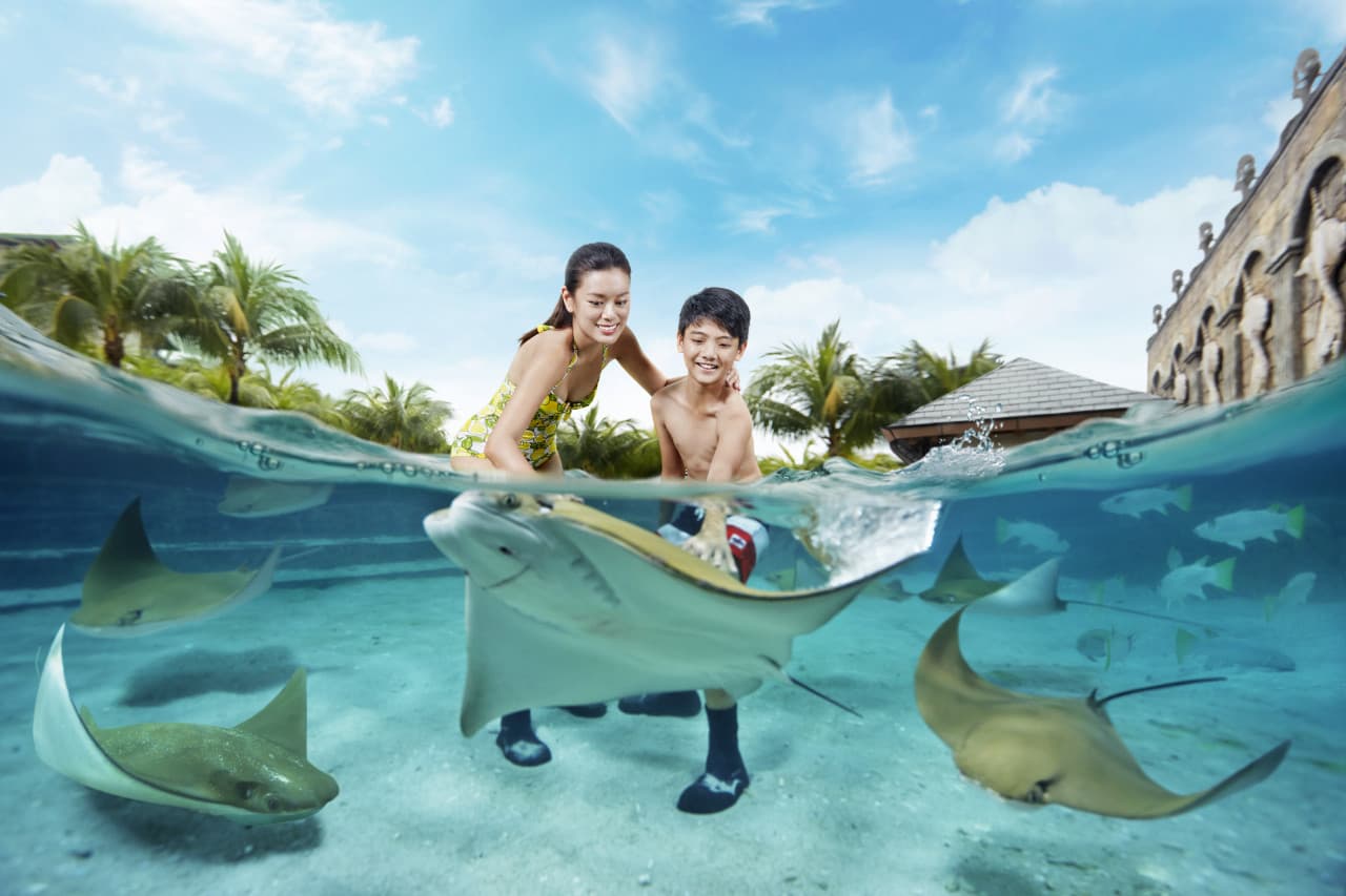 Adventure Cove Waterpark‎ Express Pass - image 3