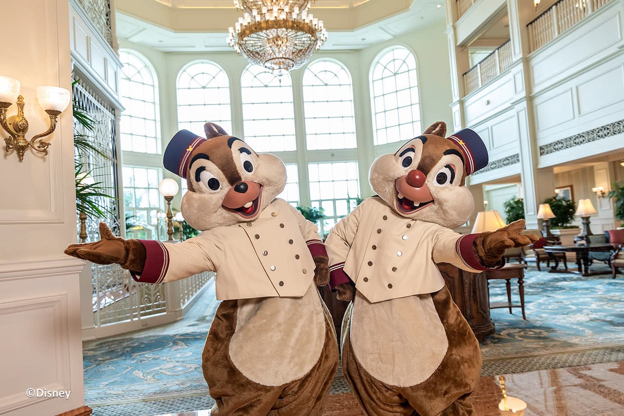 Hong Kong Disneyland Disney Premier Access Ticket - image 49