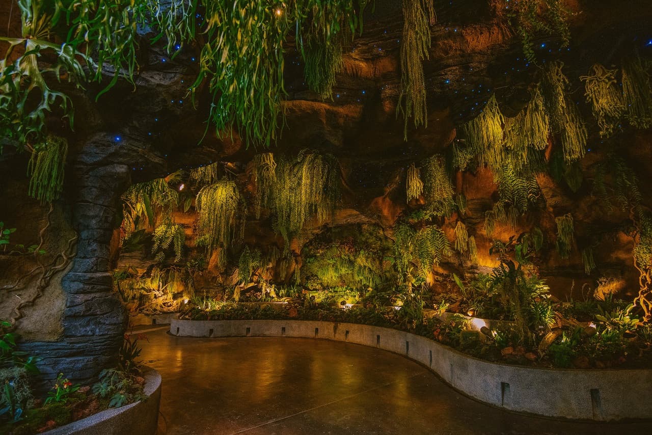 COMBO: Gardens by the Bay - Floral Fantasy + National Orchid Garden - image 10