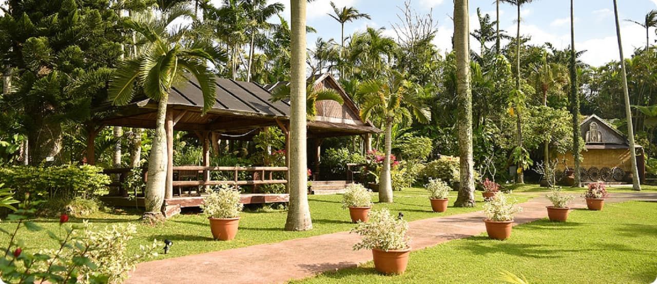 Okinawa Southeast Botanical Gardens - image 14