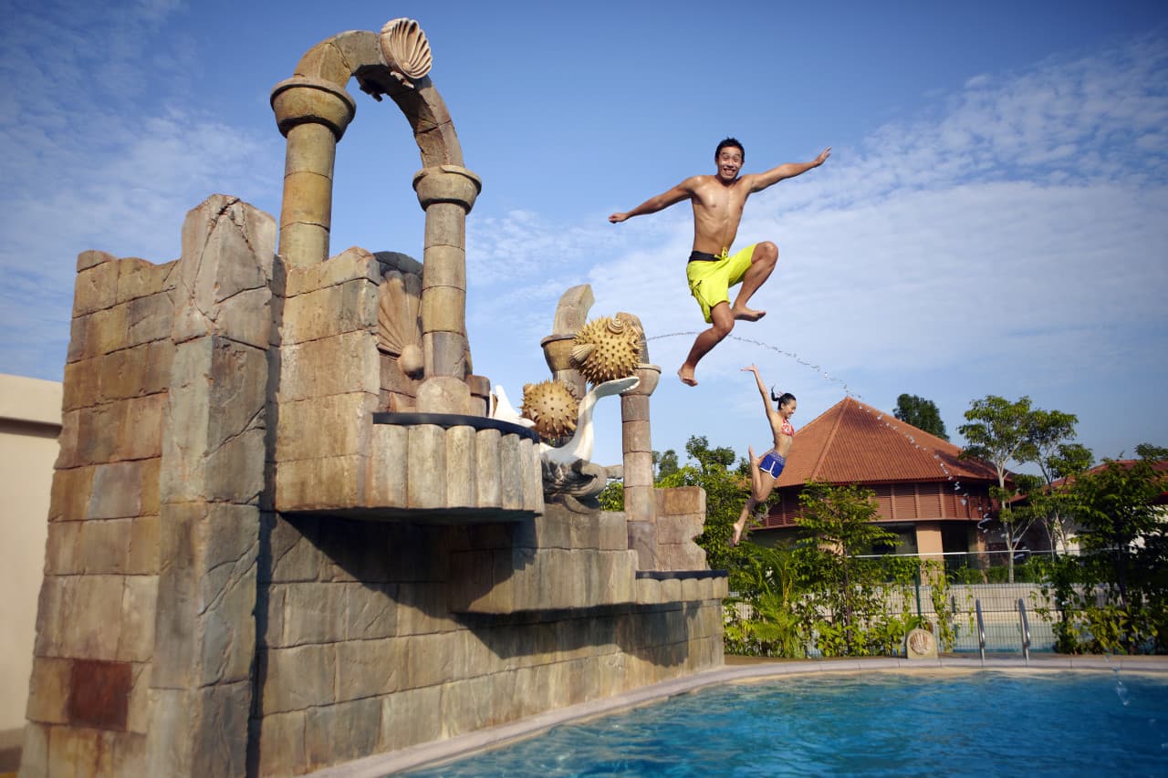 Adventure Cove Waterpark‎ Express Pass - image 12